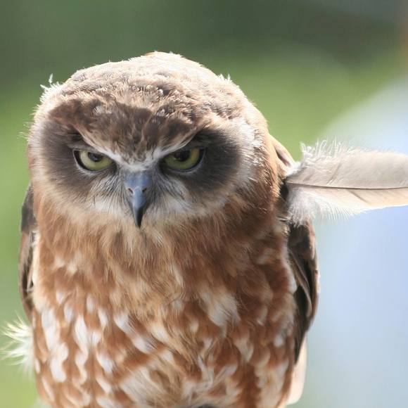 Meet your Posher, Matthew h. - Picture 1 of 1